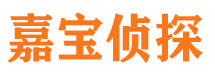 成都市调查公司